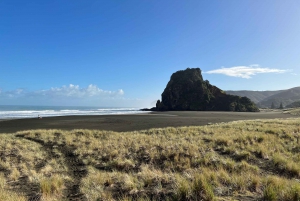 From Auckland: Guided Tour of Piha with Scenic Beach Walks