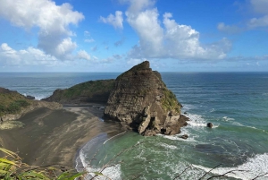 From Auckland: Guided Tour of Piha with Scenic Beach Walks