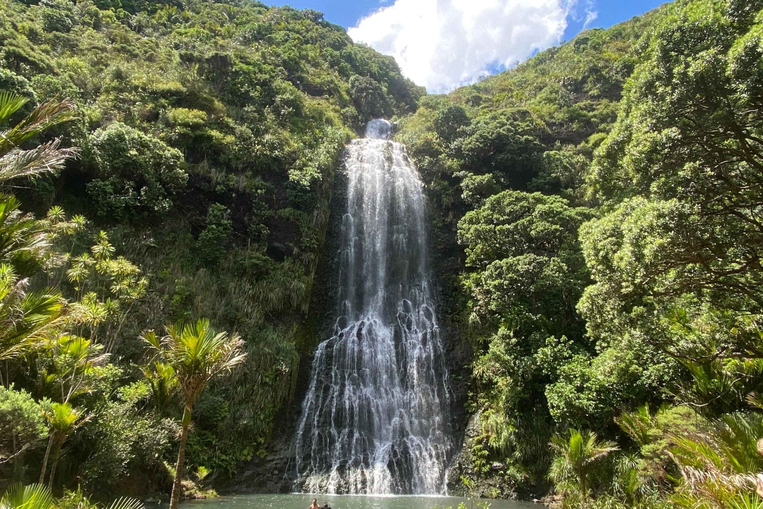 Piha & Karekare - Aucklandin ulkopuolella Yksityinen kierros