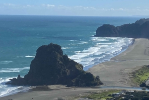 Piha & Karekare - Aucklandin ulkopuolella Yksityinen kierros