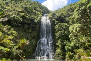 Piha & Karekare - Aucklandin ulkopuolella Yksityinen kierros