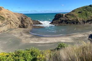 Piha & Karekare - Aucklandin ulkopuolella Yksityinen kierros