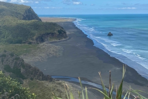 Piha & Karekare - Aucklandin ulkopuolella Yksityinen kierros