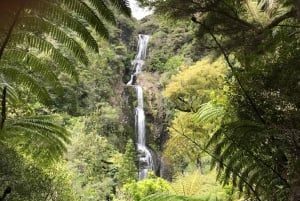 Piha & Karekare - Aucklandin ulkopuolella Yksityinen kierros