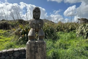 Piha & Karekare - Aucklandin ulkopuolella Yksityinen kierros