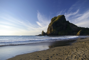 Piha & Karekare Rainforest Wine Day Tour from Auckland