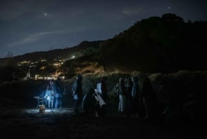 Planetariumsforestilling og guidet teleskopvisning