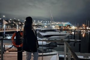 Privé-avondtour door Auckland, bezoek aan de Sky Tower en museum