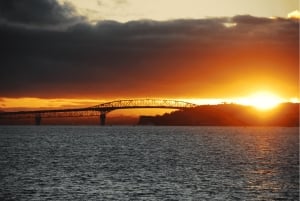 Privé-avondtour door Auckland, bezoek aan de Sky Tower en museum