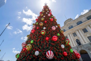 Private Christmas Walking Tour in Auckland City Lights