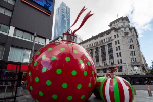 Private Christmas Walking Tour in Auckland City Lights