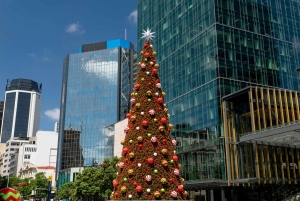 Private Christmas Walking Tour in Auckland City Lights