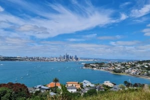 Visite privée sur mesure : Visite des joyaux cachés de la ville d'Auckland