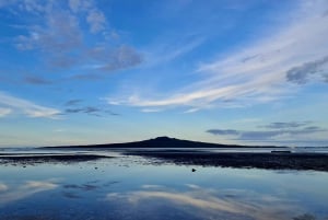Visite privée sur mesure : Visite des joyaux cachés de la ville d'Auckland
