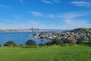 Visite privée sur mesure : Visite des joyaux cachés de la ville d'Auckland