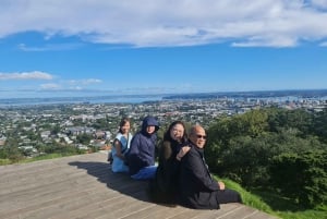 Visite privée sur mesure : Visite des joyaux cachés de la ville d'Auckland