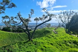 Visite privée sur mesure : Visite des joyaux cachés de la ville d'Auckland