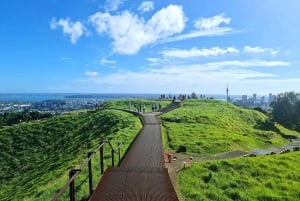 Visite privée sur mesure : Visite des joyaux cachés de la ville d'Auckland