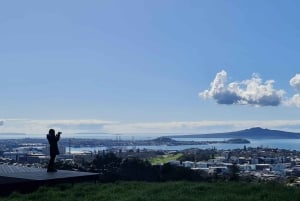 Visite privée sur mesure : Visite des joyaux cachés de la ville d'Auckland