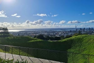 Visite privée sur mesure : Visite des joyaux cachés de la ville d'Auckland