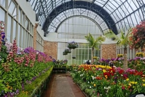 Visite privée sur mesure : Visite des joyaux cachés de la ville d'Auckland