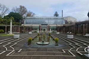 Visite privée sur mesure : Visite des joyaux cachés de la ville d'Auckland