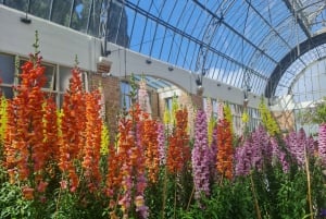 Visite privée sur mesure : Visite des joyaux cachés de la ville d'Auckland