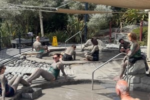 Privédagtour - Rotorua, kiwi-broederij en maori-cultuur