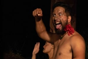 Privédagtour - Rotorua, kiwi-broederij en maori-cultuur