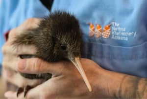 Privédagtour - Rotorua, kiwi-broederij en maori-cultuur
