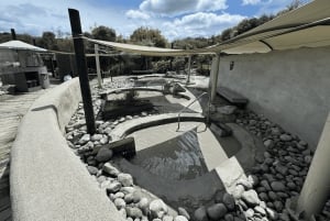 Privédagtour - Rotorua, kiwi-broederij en maori-cultuur