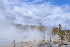 Privédagtour - Rotorua, kiwi-broederij en maori-cultuur