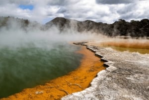Privédagtour - Rotorua, kiwi-broederij en maori-cultuur
