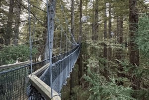 Privédagtour - Rotorua, kiwi-broederij en maori-cultuur