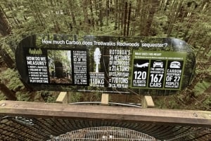 Privédagtour - Rotorua, kiwi-broederij en maori-cultuur