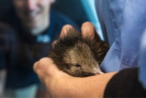 Privédagtour - Rotorua, kiwi-broederij en maori-cultuur