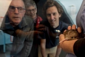 Privédagtour - Rotorua, kiwi-broederij en maori-cultuur