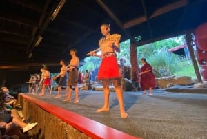 Privédagtour - Rotorua, kiwi-broederij en maori-cultuur