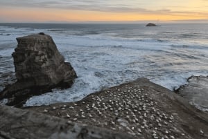 [PRIVATE] Haka to Wine West Coast Journey