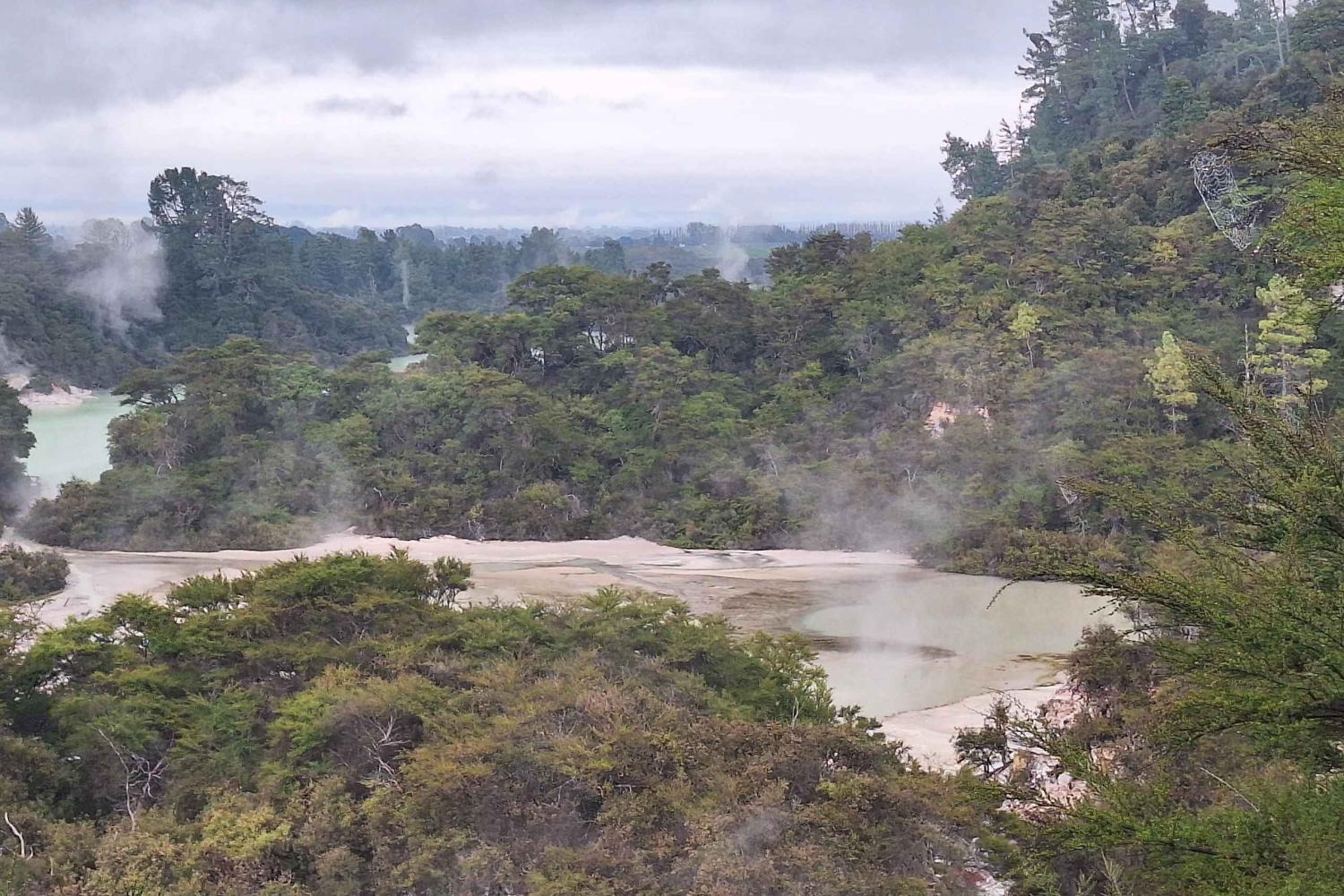 Частный роскошный Окленд - Геотермальные чудеса Роторуа