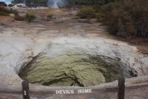 Private Luxusreise Auckland - Rotorua Geothermal Wonderlands
