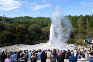 Частный роскошный Окленд - Геотермальные чудеса Роторуа