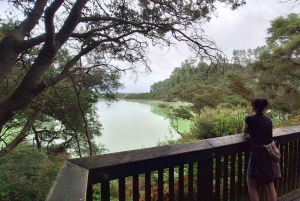 Частный роскошный Окленд - Геотермальные чудеса Роторуа