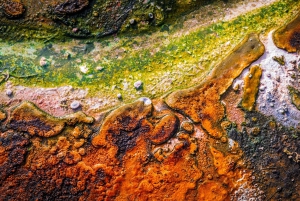 Частный роскошный Окленд - Геотермальные чудеса Роторуа