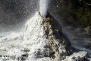 Частный роскошный Окленд - Геотермальные чудеса Роторуа