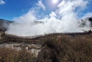 Частный роскошный Окленд - Геотермальные чудеса Роторуа