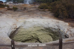 Частный роскошный Окленд - Геотермальные чудеса Роторуа