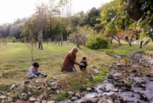Sessão fotográfica de férias privada com fotógrafo em Auckland