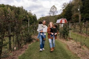 Sessão fotográfica de férias privada com fotógrafo em Auckland