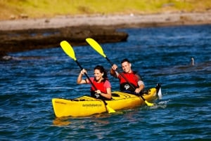 Rangitoto Island: Sea Kayak & Summit Hike Day Trip